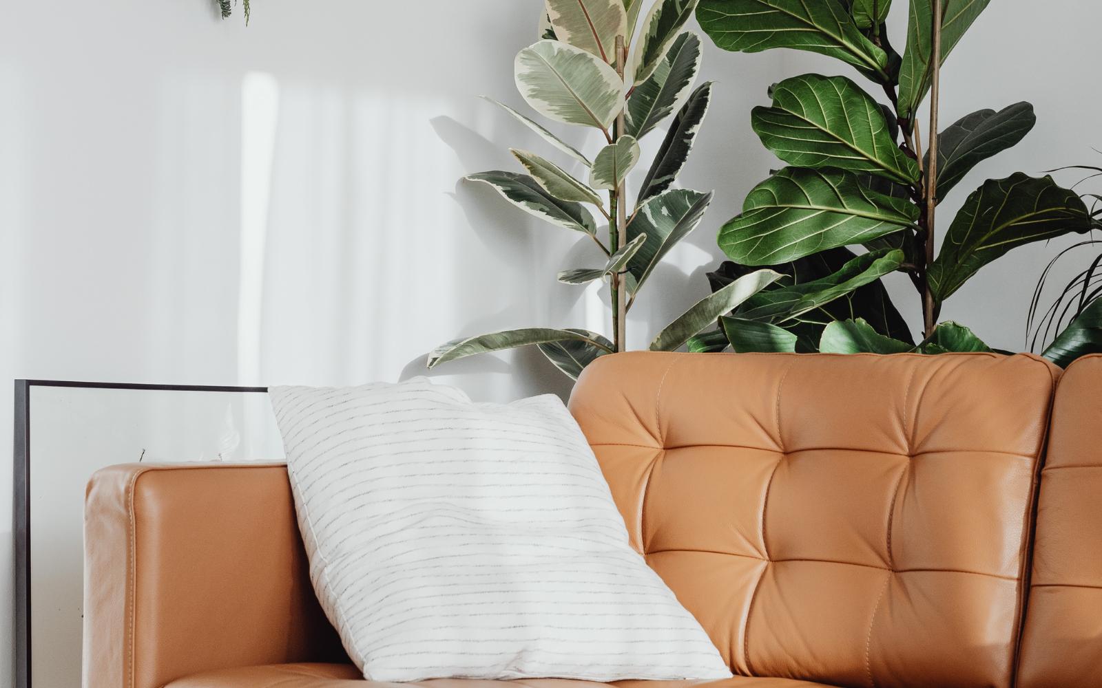 Portugiesische Vokabeln lernen zum Thema Em casa e na minha cidade