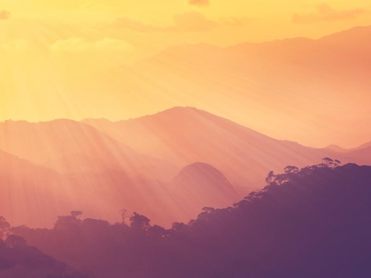 Grammatik und Übungen von vokabeln2go