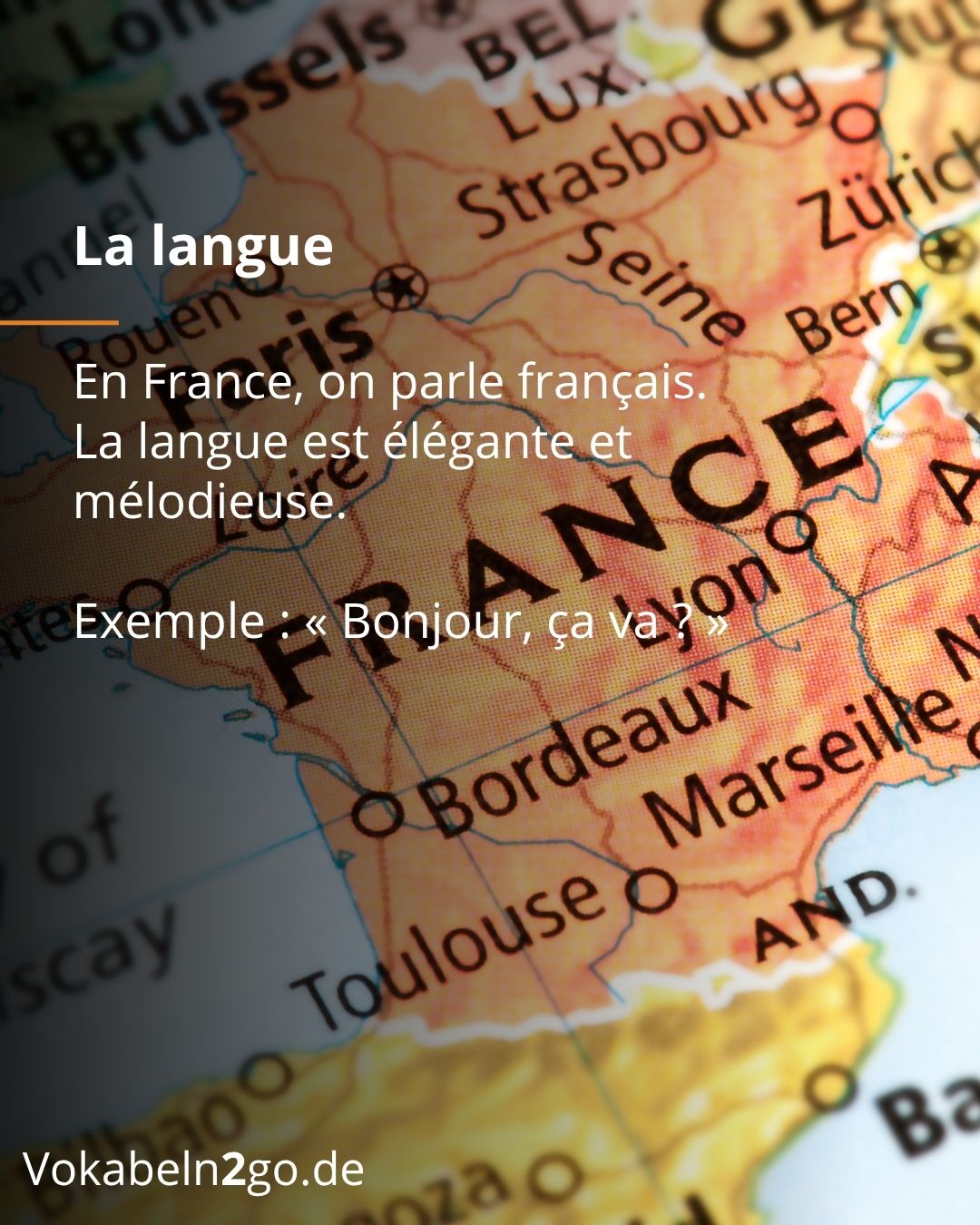 Info 4