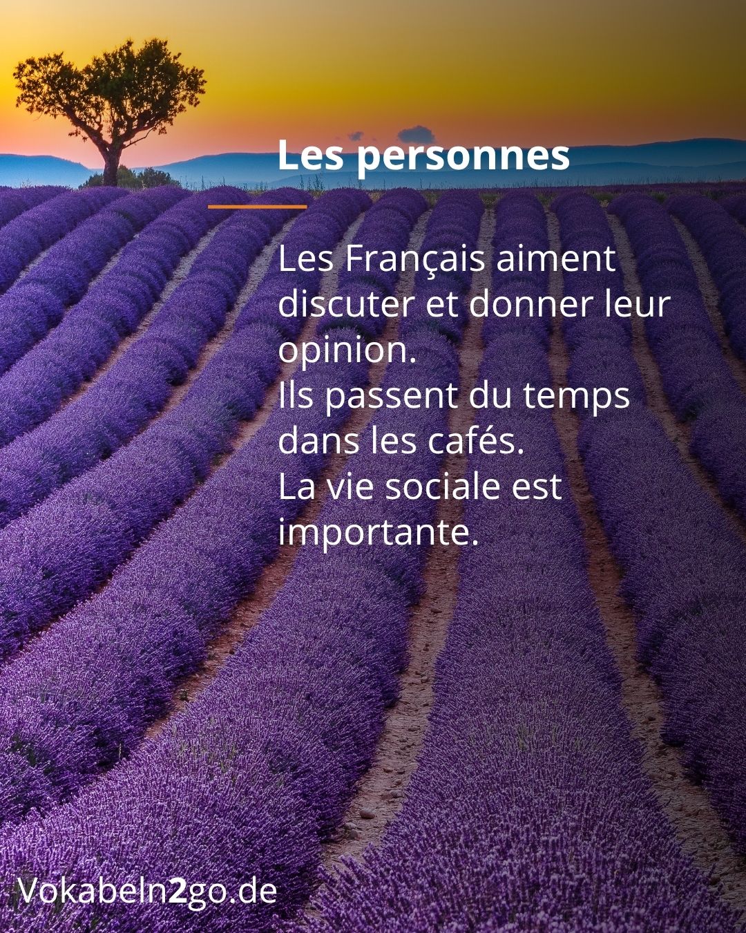 Info 5