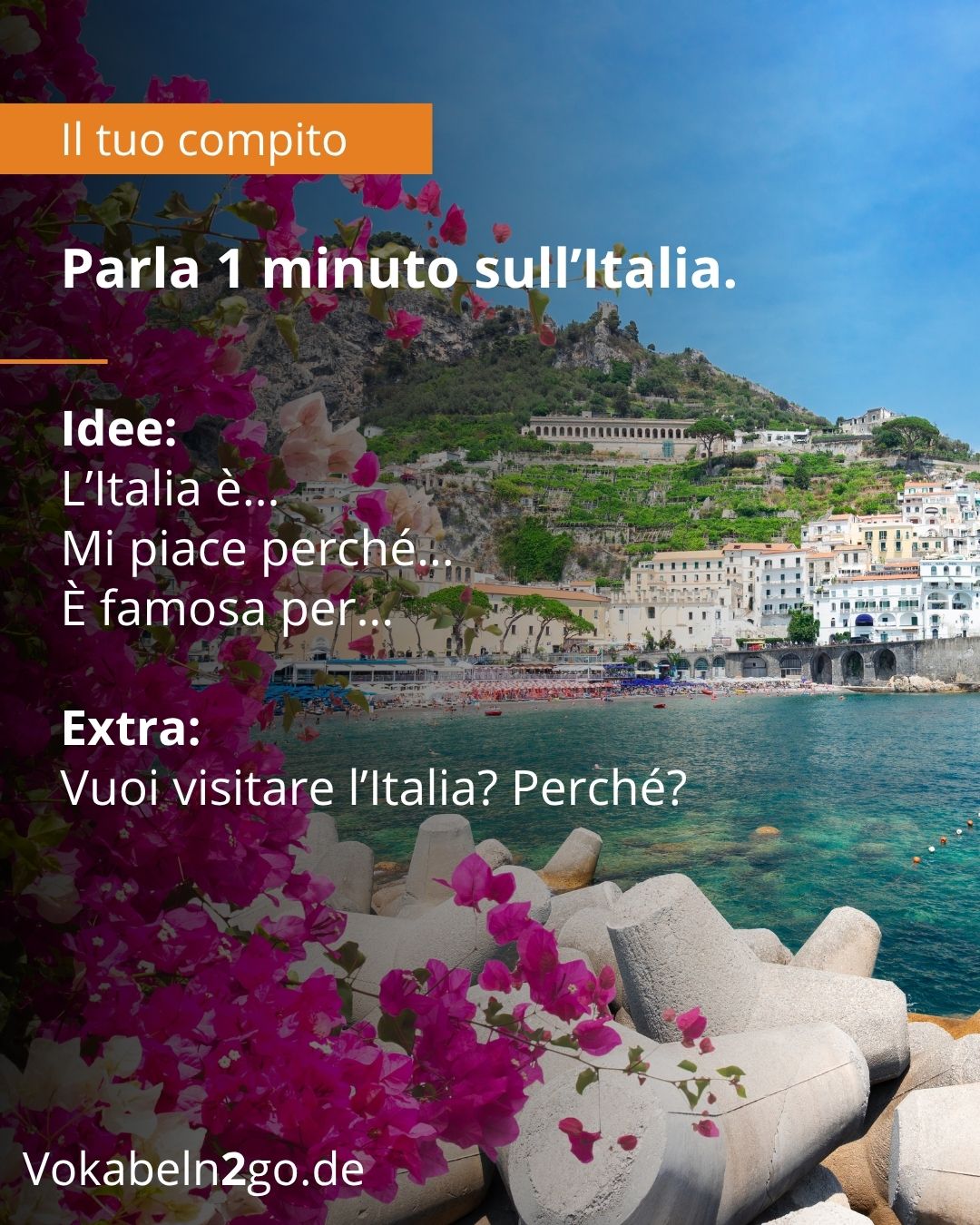 Info 10