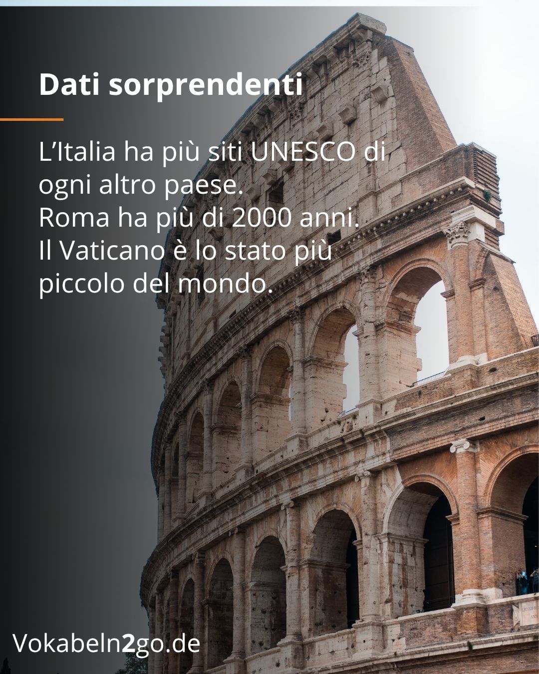 Info 6