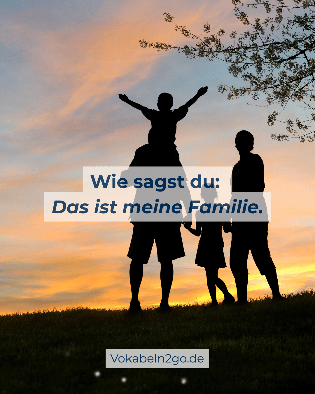 Top 15 spanische Redewendungen – Bildkarten